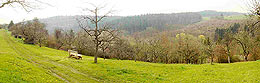 Panoramafoto des westlichen Laubachwalds